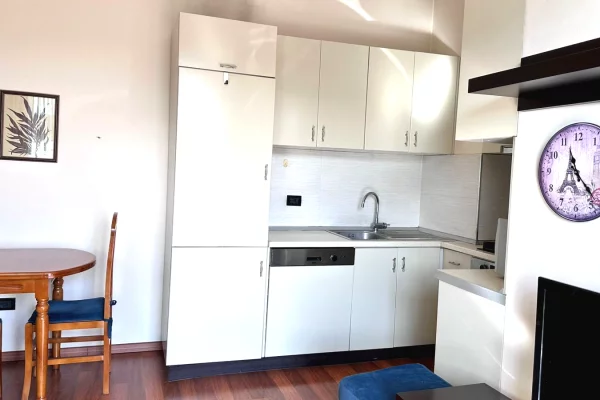 Apartment for rent in Tirana 1+1, Furnished