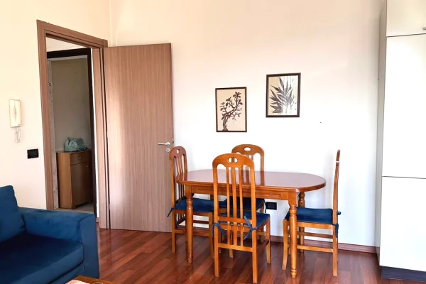 Apartment for rent in Tirana 1+1, Furnished