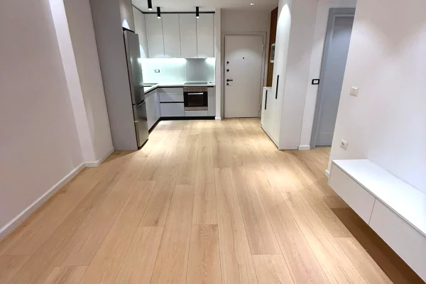 Shtepi me qera 1+1 ne Tirane - 50,000 Leke