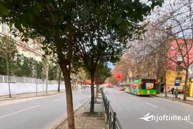 Ambient biznesi ne shitje 1+1 ne Tirane - 90,000 Euro