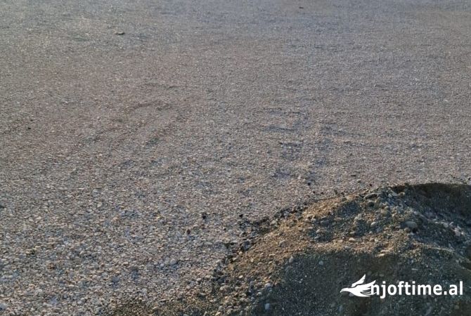 Ambient biznesi me qera 4+1 ne Tirane - 1,500 Euro