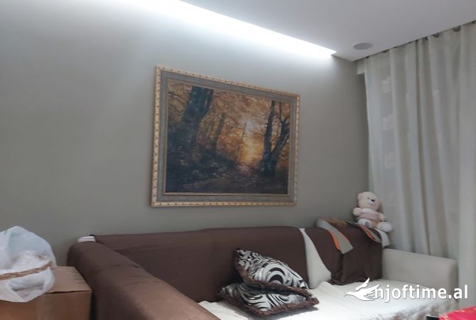 Shtepi me qera 1+1 ne Tirane - 450 Euro