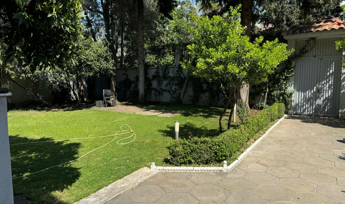 Foto 6