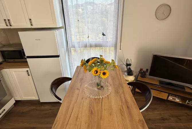 Shtepi me qera 1+1 ne Tirane - 650 Euro