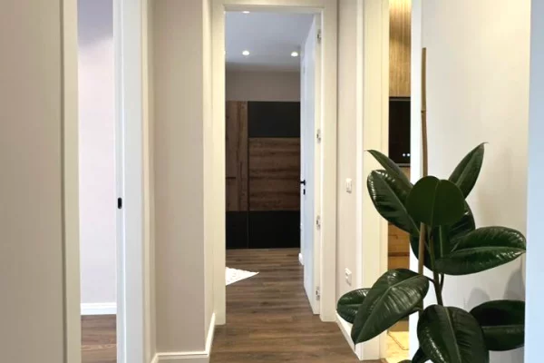 Apartment for rent in Tirana 2+1, Furnished