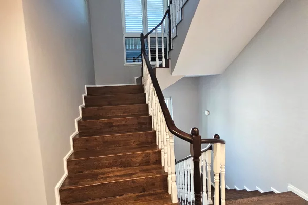 Luxury villas for rent in Tirana 5+1, In Part