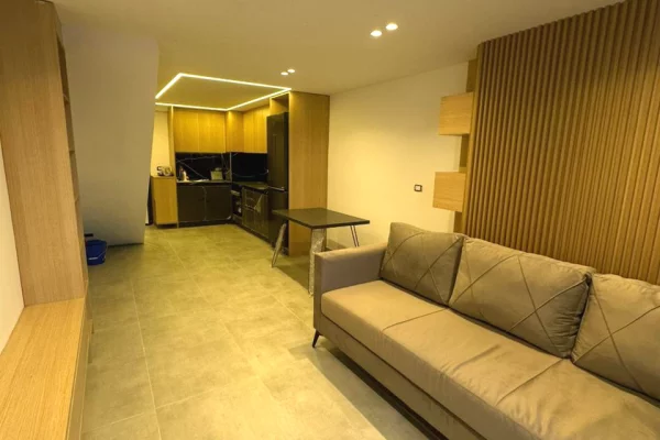 Shtepi ne shitje Apartament ne Tirane, 1+1, Mobilimi E mobiluar, Pagesa 119,000  Euro.