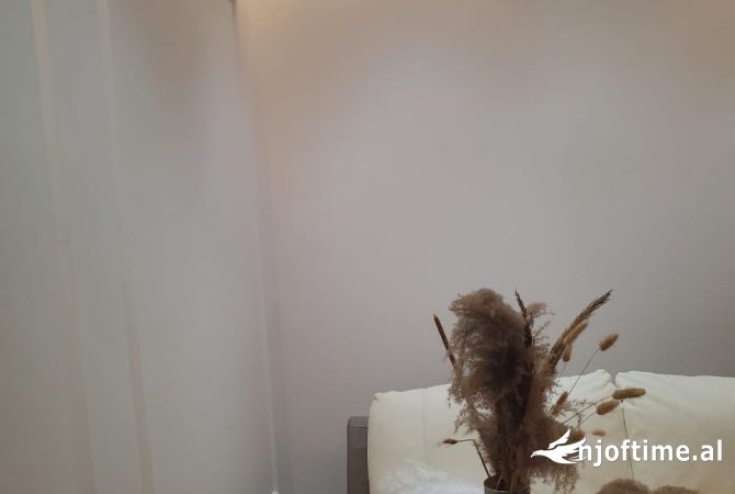 Shtepi me qera Apartament ne Tirane, 1+1, Mobilimi E mobiluar, Pagesa 450  Euro.