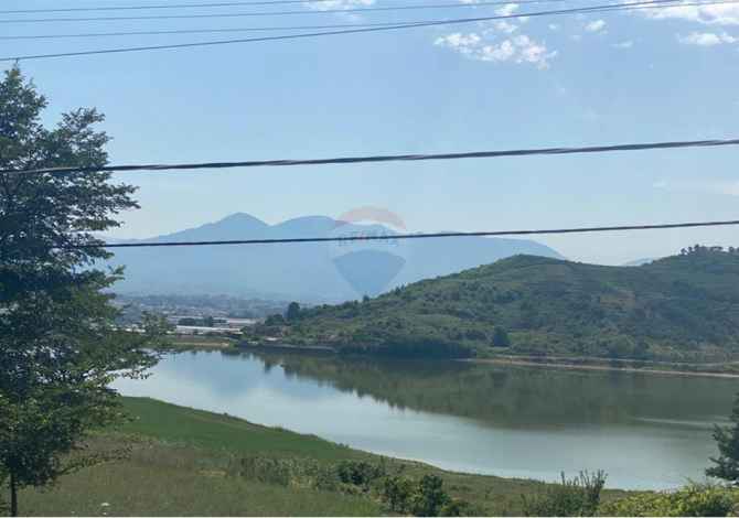 Truall ose Toke ne Tirane - 55,000 Euro
