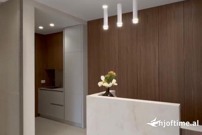 Ambient biznesi me qera 3+1 ne Tirane - 2,000 Euro