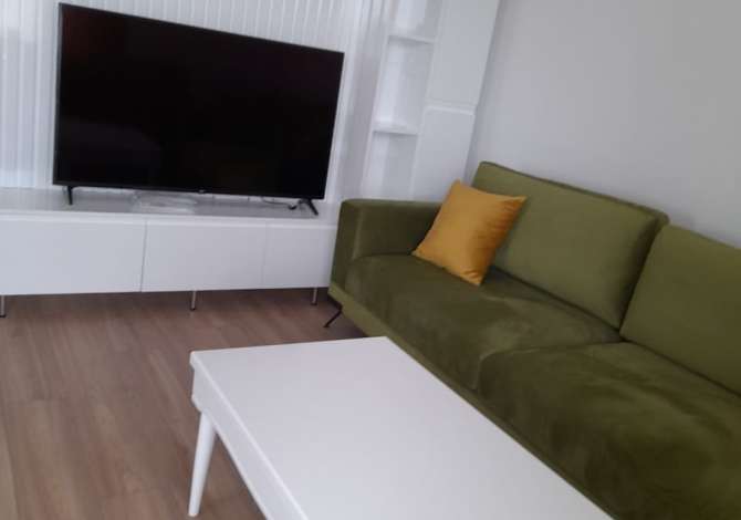Richiesta Case 1+1 a Tirana - 300 Euro