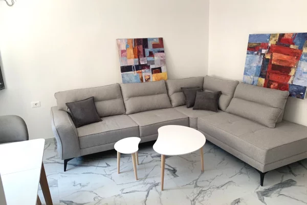 House for Rent 1+1 in Tirana - 40,000 Leke