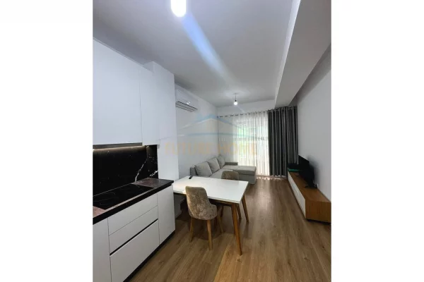 Shtepi me qera 1+1 ne Tirane - 450 Euro
