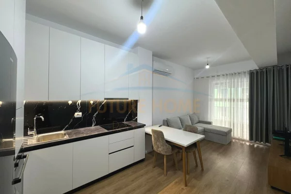 Shtepi me qera Apartament ne Tirane, 1+1, Mobilimi E mobiluar, Pagesa 450  Euro.