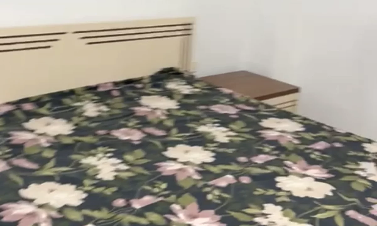 Shtepi me qera Apartament ne Tirane, 1+1, Mobilimi E mobiluar, Pagesa 30,001  Leke.