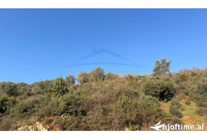 Truall ose Toke  ne Tirane - 275,003 Euro