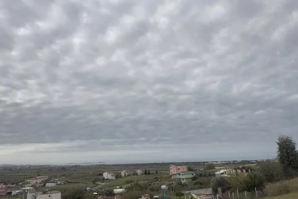 Ambient biznesi ne shitje 1+1 ne Durres - 14,000 Euro