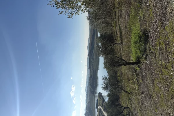 Truall ose Toke Garsoniere ne Durres - 260,000 Euro