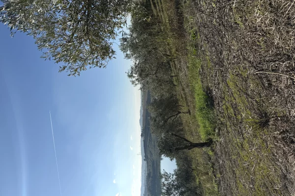 Truall ose Toke Garsoniere ne Durres - 260,000 Euro