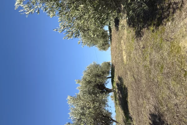 Truall ose Toke Garsoniere ne Durres - 260,000 Euro