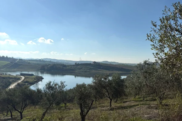 Truall ose Toke  ne Durres - 213,000 Euro