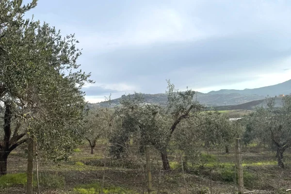 Land for Sale  in Durres - 100,000 Euro