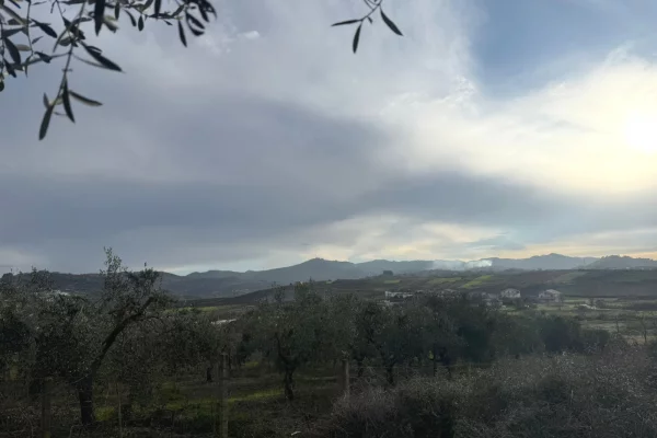 Land for Sale  in Durres - 100,000 Euro