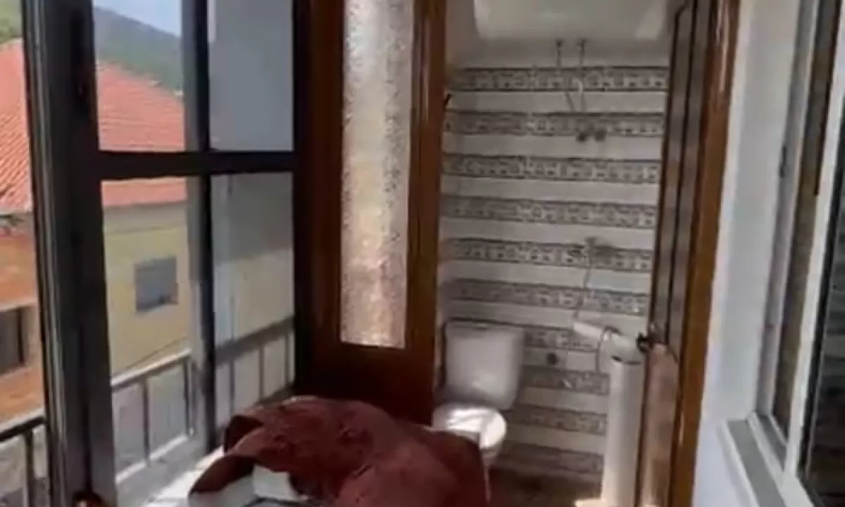 Foto 4