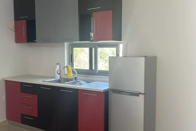 Shtepi me qera Apartament ne Tirane, 1+1, Mobilimi E mobiluar, Pagesa 380  Euro.