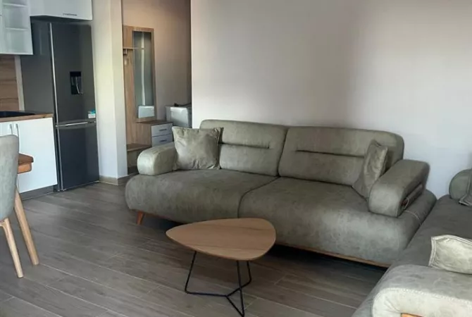 House for Rent 1+1 in Tirana - 35,000 Leke