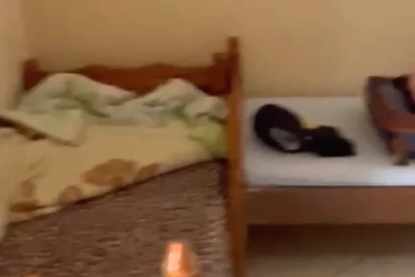 Foto 4