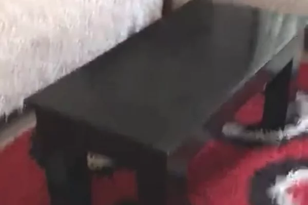 House for Rent Garsoniere in Tirana - 25,000 Leke