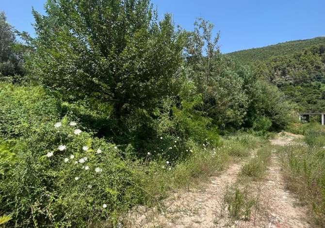 Truall ose Toke ne Tirane - 170,000 Euro