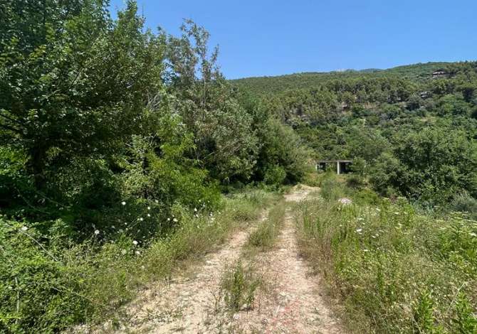 Truall ose Toke ne Tirane - 170,000 Euro