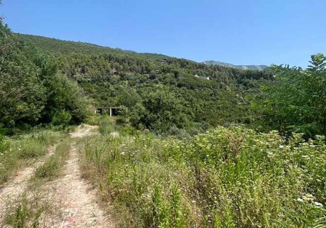 Truall ose Toke ne Tirane - 170,000 Euro
