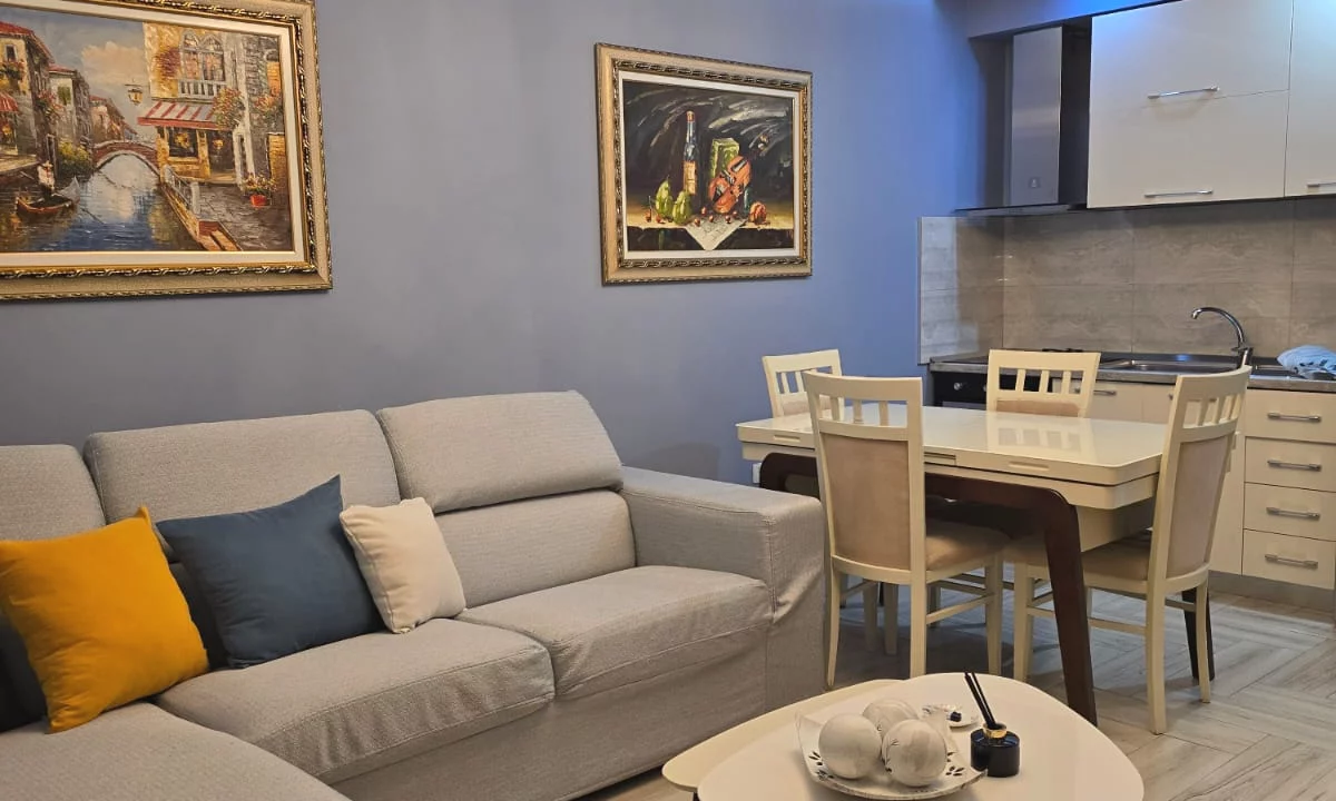 Shtepi me qera Apartament ne Tirane, 1+1, Mobilimi E mobiluar, Pagesa 650  Euro.