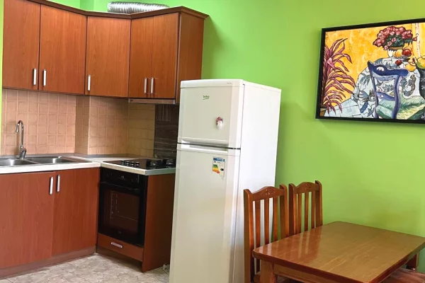 Shtepi me qera 1+1 ne Tirane - 400 Euro