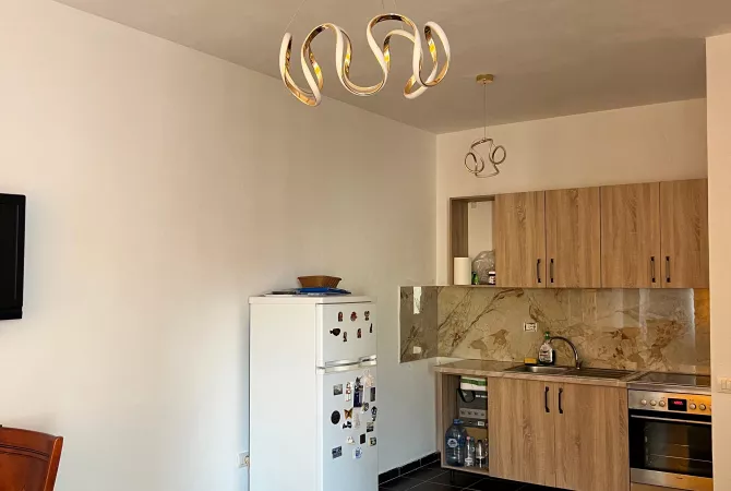 House for Rent 1+1 in Tirana - 380 Euro