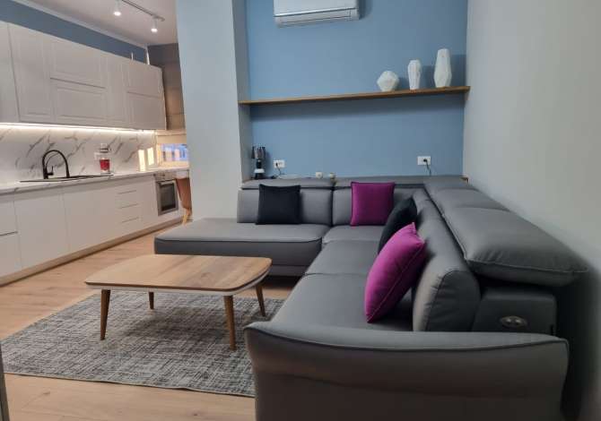 Shtepi ne shitje Apartament ne Tirane, 1+1, Mobilimi E mobiluar, Pagesa 165,000  Euro.