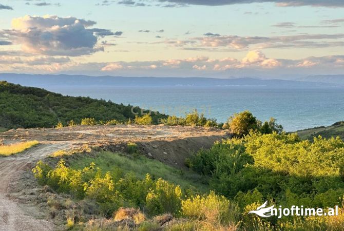 TOKE PER SHITJE ME PAMJE DETI NE KEPIN E RODONIT,SHETAJ 540.000Euro | 13,500 m2