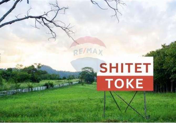 Truall ose Toke ne Tirane - 150,000 Euro