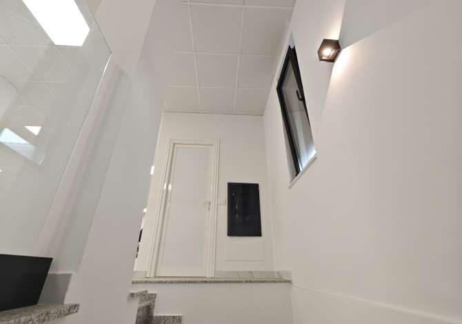 Ambient biznesi me qera 1+1 ne Tirane - 3,500 Euro