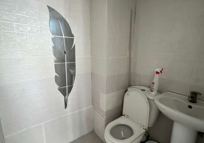 Ambient biznesi me qera 1+1 ne Tirane - 450 Euro