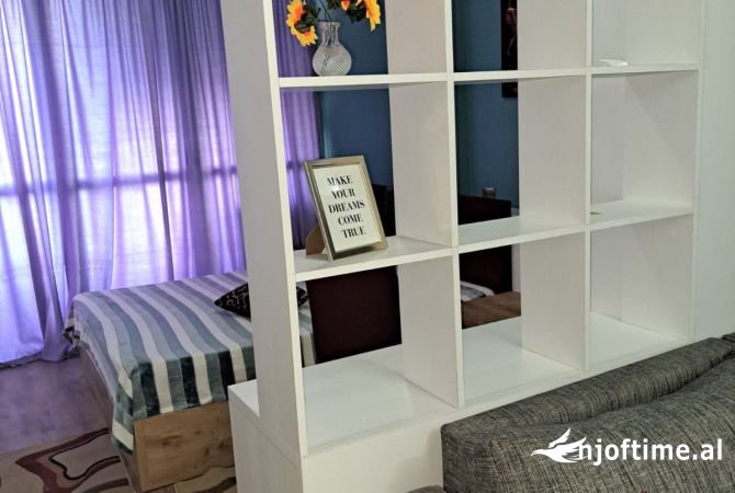 Shtepi me qera Apartament ne Tirane, Garsoniere, Mobilimi E mobiluar, Pagesa 370  Euro.