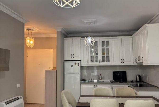 Shtepi me qera Apartament ne Tirane, 1+1, Mobilimi E mobiluar, Pagesa 550  Euro.