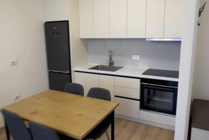 Shtepi me qera Apartament ne Tirane, 1+1, Mobilimi E mobiluar, Pagesa 570  Euro.