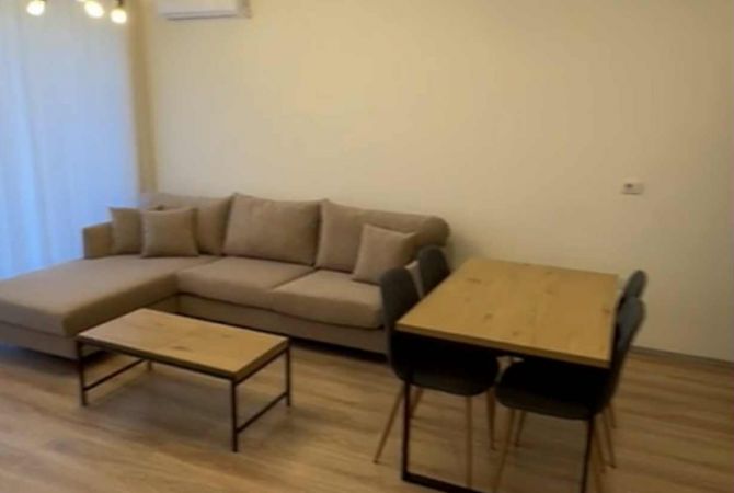 Shtepi me qera Apartament ne Tirane, 1+1, Mobilimi E mobiluar, Pagesa 570  Euro.