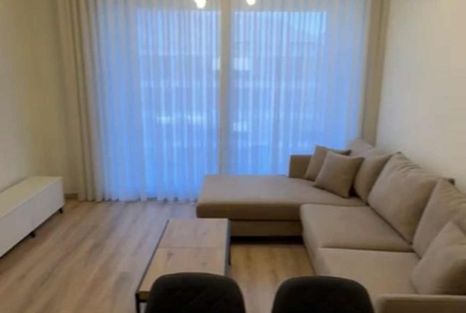 Shtepi me qera Apartament ne Tirane, 1+1, Mobilimi E mobiluar, Pagesa 570  Euro.