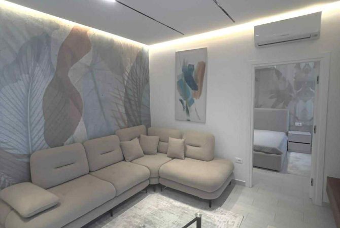 Shtepi me qera Apartament ne Tirane, 1+1, Mobilimi E mobiluar, Pagesa 650  Euro.