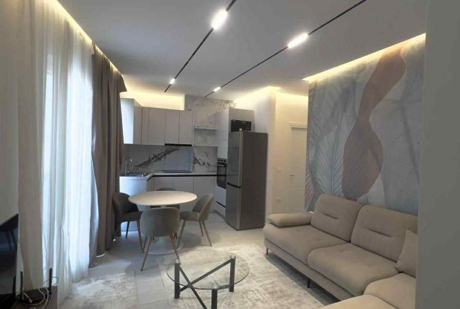 Shtepi me qera Apartament ne Tirane, 1+1, Mobilimi E mobiluar, Pagesa 650  Euro.